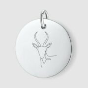 Springbuck