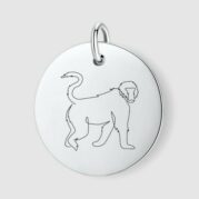 Baboon